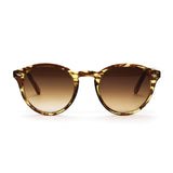 Optimum Optical Sunglasses - assorted styles