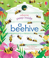 Peep Inside a beehive