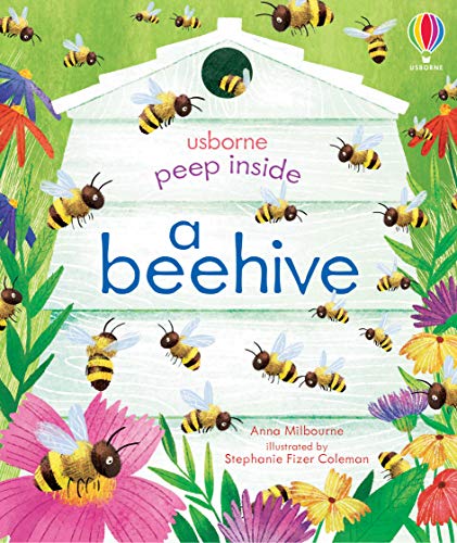 Peep Inside a beehive