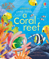 Peep Inside The Coral reef