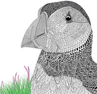 The Aviary : Portraits to Color