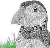 The Aviary : Portraits to Color