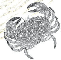 The Aquarium: Marine Portraits to Color