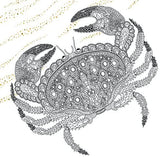 The Aquarium: Marine Portraits to Color