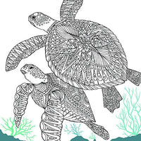 The Aquarium: Marine Portraits to Color