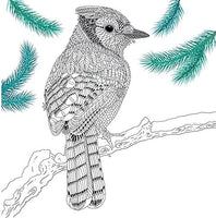The Aviary : Portraits to Color