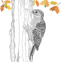 The Aviary : Portraits to Color